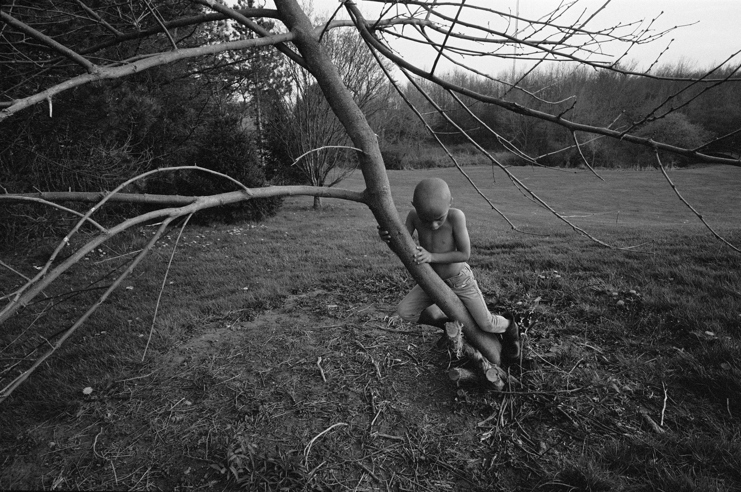 The Seraphim — Charcoal Press